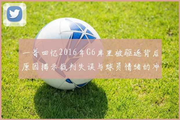 一哥回忆2016年G6库里被驱逐背后原因揭示裁判失误与球员情绪的冲突